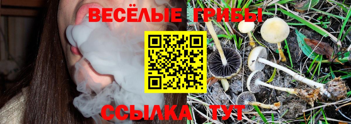 Галлюциногенные грибы мицелий Нерюнгри