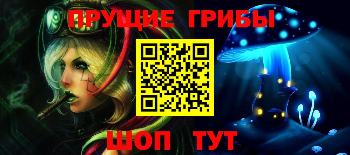 магазин  наркотиков  Псилоцибиновые грибы ЛСД  Вход с VPN  Псилоцибиновые грибы мицелий  Нерюнгри 